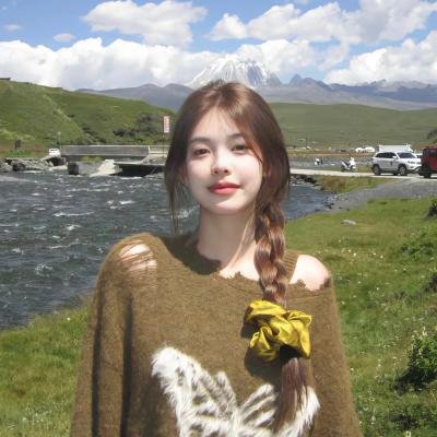 鹬