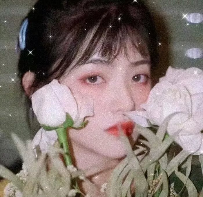 安培逊大族